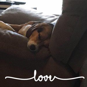 Meet your Posher, Sonya